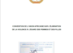 CONVENTION DE L’UNION AFRICAINE SUR L’ÉLIMINATION DE LA VIOLENCE À L’ÉGARD DES FEMMES ET DES FILLES