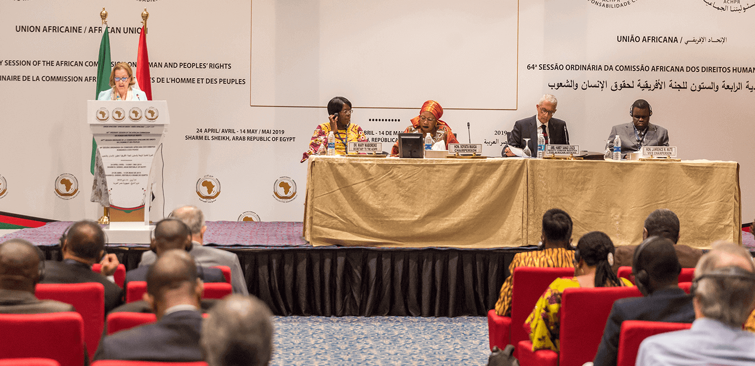 Commission African Commission On Human And Peoples Rights