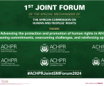 1st Joint Forum